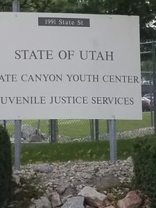 juvenile justice services